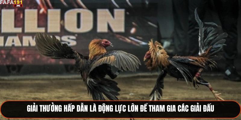 Giải thưởng hấp dẫn là động lực lớn để tham gia các giải đấu
