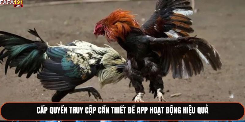 Cấp quyền truy cập cần thiết để app hoạt động hiệu quả