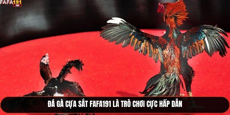 Đá gà cựa sắt Fafa191 là trò chơi cực hấp dẫn