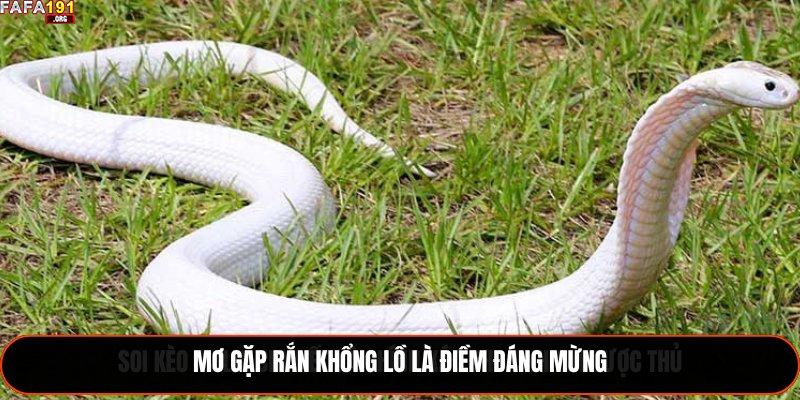 Mơ gặp rắn khổng lồ là điềm đáng mừng