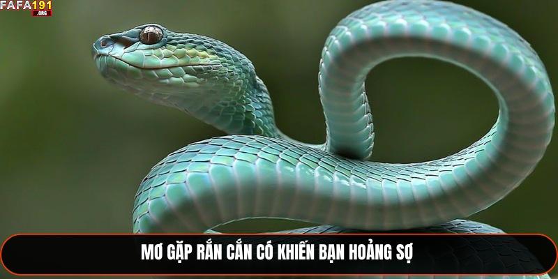 Mơ gặp rắn cắn có khiến bạn hoảng sợ 